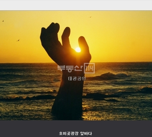 경상북도 포항시 대잠동 대잠아델리아 아파트 매물 정보 - 부동산114  아파트매매 대잠동 대잠아델리아