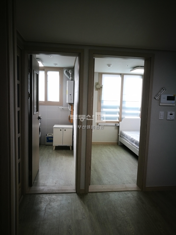 부동산 빅데이터, 부동산114 [부동산114] [빌딩] 2019년 준공 원룸건물  매매 희망가격 250,000만원