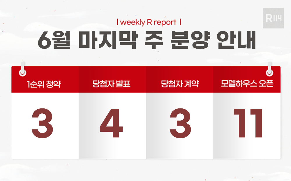 인기 리포트 이미지