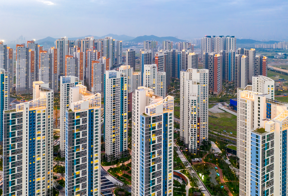 인기 리포트 이미지